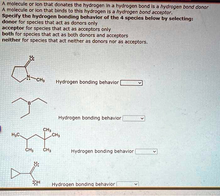 SOLVED: A molecule or ion that donates the hydrogen in a hydrogen bond