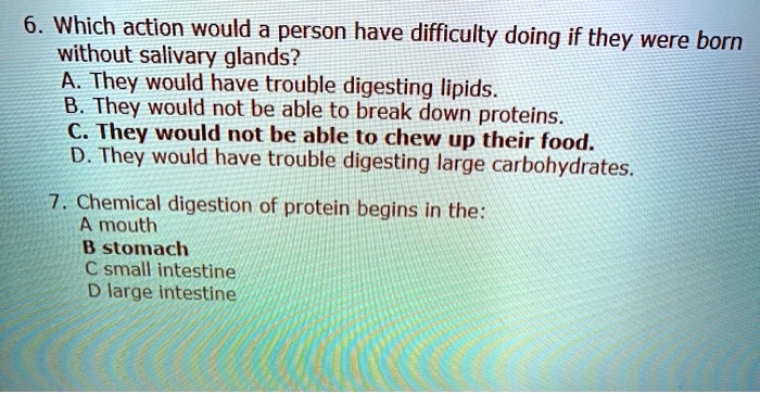 6. Which action would a person have difficulty doing if they were born without salivary glands?
A. They would have trouble digesting lipids.
B. They would not be able to break down proteins.
C. They would not be able to chew up their food.
D. They would have trouble digesting large carbohydrates.

7. Chemical digestion of protein begins in the:
A mouth
B stomach
C small intestine
D large intestine