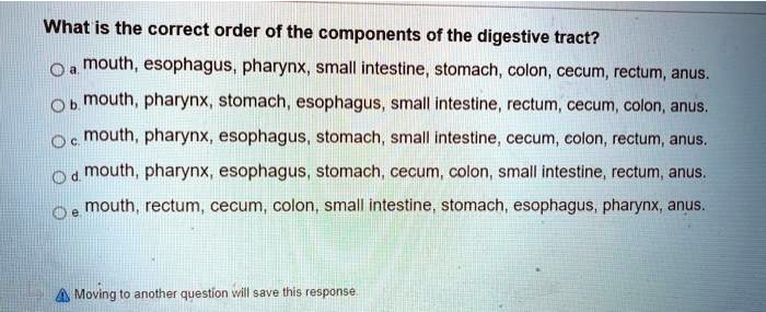 What is the correct order of the components of the digestive tract?
a. mouth, esophagus, pharynx, small intestine, stomach, colon, cecum, rectum, anus.
b. mouth, pharynx, stomach, esophagus, small intestine, rectum, cecum, colon, anus.
c. mouth, pharynx, esophagus, stomach, small intestine, cecum, colon, rectum, anus.
d. mouth, pharynx, esophagus, stomach, cecum, colon, small intestine, rectum, anus.
e. mouth, rectum, cecum, colon, small intestine, stomach, esophagus, pharynx, anus.