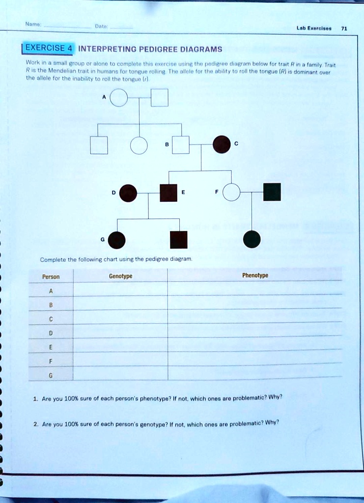 Name: Date: Lab Exercises 71 EXERCISE 4 INTERPRETING PEDIGREE DIAGRAMS ...