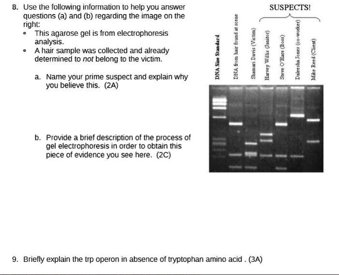 SOLVED: Use the following information to help you answer questions (a ...