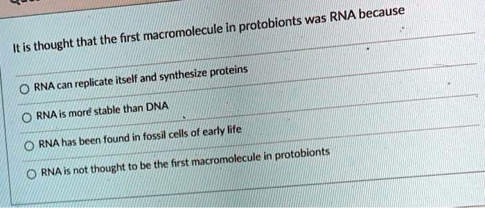 It is thought that the first macromolecule in protobionts was RNA because
RNA can replicate itself and synthesize proteins
RNA is more stable than DNA
RNA has been found in fossil cells of early life
RNA is not thought to be the first macromolecule in protobionts