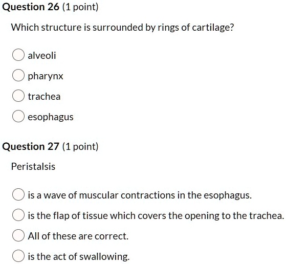 Question 26 (1 point)
Which structure is surrounded by rings of cartilage?
alveoli
pharynx
trachea
esophagus
Question 27 (1 point)
Peristalsis
is a wave of muscular contractions in the esophagus.
is the flap of tissue which covers the opening to the trachea.
All of these are correct.
is the act of swallowing.