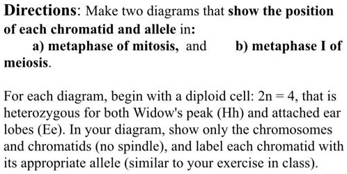 SOLVED: Directions: Make Two Diagrams That Show The Position Of Each ...