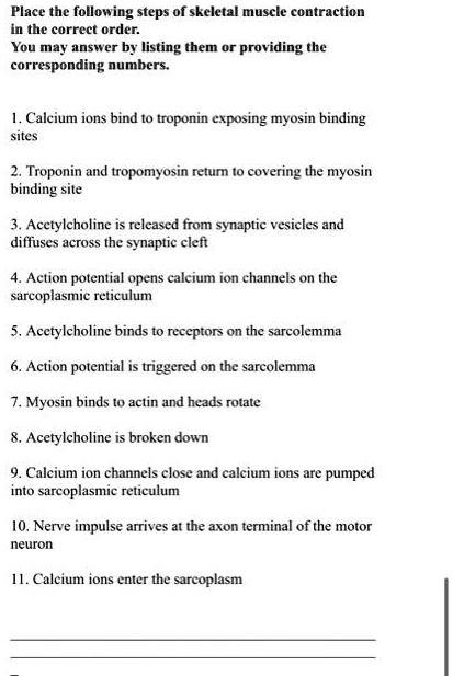 Place the following steps of skeletal muscle contraction in the correct ...