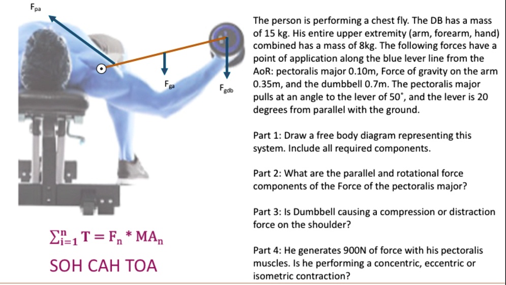 Fpa
?i=1^n T = Fn * MAn
SOH CAH TOA
Fga
Fgdb
The person is performing a chest fly. The DB has a mass
of 15 kg. His entire upper extremity (arm, forearm, hand)
combined has a mass of 8kg. The following forces have a
point of application along the blue lever line from the
AoR: pectoralis major 0.10m, Force of gravity on the arm
0.35m, and the dumbbell 0.7m. The pectoralis major
pulls at an angle to the lever of 50°, and the lever is 20
degrees from parallel with the ground.
Part 1: Draw a free body diagram representing this
system. Include all required components.
Part 2: What are the parallel and rotational force
components of the Force of the pectoralis major?
Part 3: Is Dumbbell causing a compression or distraction
force on the shoulder?
Part 4: He generates 900N of force with his pectoralis
muscles. Is he performing a concentric, eccentric or
isometric contraction?
