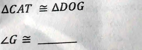 CAT ≅DOG
∠G ≅    