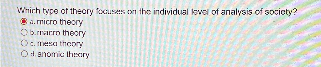 SOLVED: Which type of theory focuses on the individual level of ...