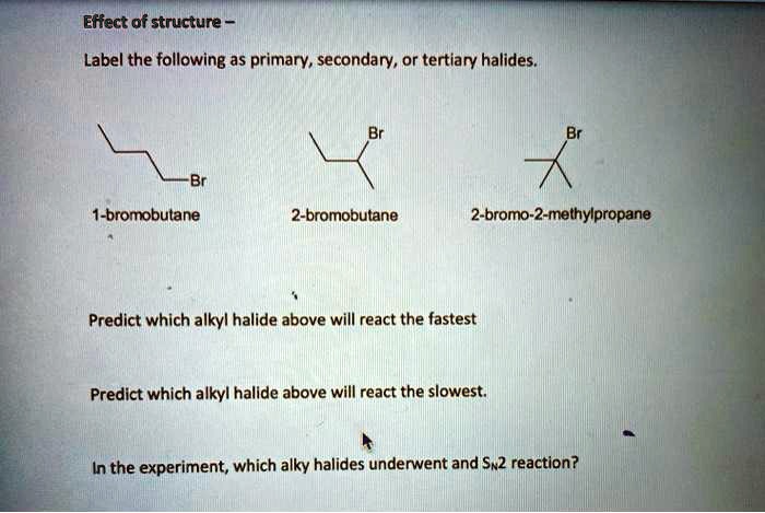 Solved:effect Of Structure Label The Following As Primary, Secondary, Or  Tertiary Halides. ~Bromobutane 2-Bromobutane 2-Bromo-2-Methylpropane  Predict Which Alkyl Halide Above Will React The Fastest Predict Which Alkyl  Halide Above Will React The Solved:effect Of Structure Label The Following As Primary, Secondary, Or  Tertiary Halides. ~Bromobutane 2-Bromobutane 2-Bromo-2-Methylpropane  Predict Which Alkyl Halide Above Will React The Fastest Predict Which Alkyl  Halide Above Will React The