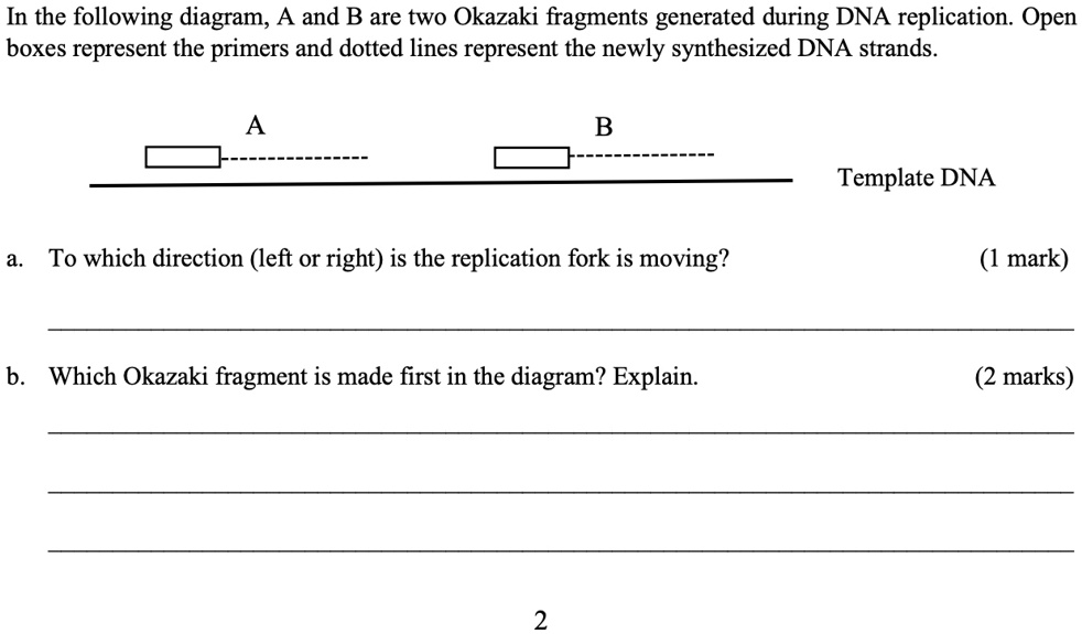 Solved In The Following Diagram A And B Are Two Okazaki Fragments