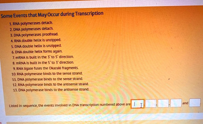 Some Events that May Occur during Transcription
1. RNA polymerases detach.
2. DNA polymerases detach.
3. DNA polymerases proofread.
4. RNA double helix is unzipped.
5. DNA double helix is unzipped.
6. DNA double helix forms again.
7. mRNA is built in the 3' to 5' direction.
8. mRNA is built in the 5' to 3' direction.
9. RNA ligase fuses the Okazaki fragments.
10. RNA polymerase binds to the sense strand.
11. DNA polymerase binds to the sense strand.
12. RNA polymerase binds to the antisense strand.
13. DNA polymerase binds to the antisense strand.
Listed in sequence, the events involved in DNA transcription numbered above are , , ,  and .