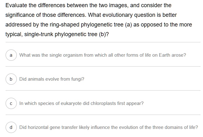 Evaluate the differences between the two images, and consider the significance of those differences. What evolutionary question is better addressed by the ring-shaped phylogenetic tree (a) as opposed to the more typical, single-trunk phylogenetic tree (b)?

a What was the single organism from which all other forms of life on Earth arose?

b Did animals evolve from fungi?

c In which species of eukaryote did chloroplasts first appear?

d Did horizontal gene transfer likely influence the evolution of the three domains of life?