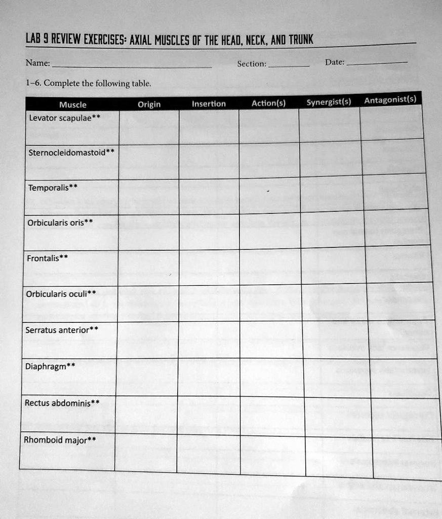 SOLVED LAB 9 REVIEW EXERCISES AXIAL MUSCLES OF THE HEAD NECK