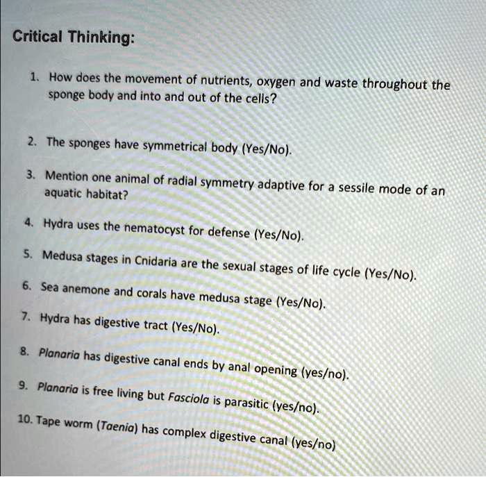 SOLVED Critical Thinking How does the movement of nutrients, oxygen