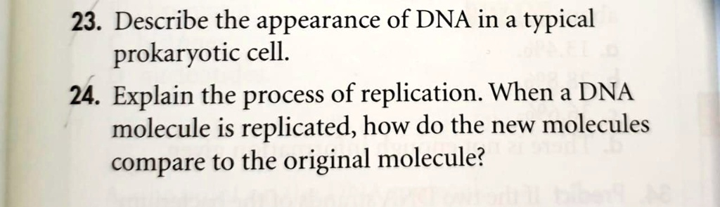 SOLVED: 23. Describe the appearance of DNA in a typical prokaryotic ...