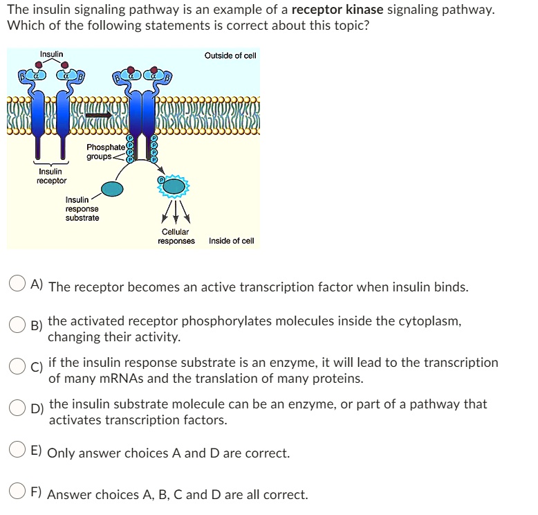 SOLVED: The insulin signaling pathway is an example of a receptor ...