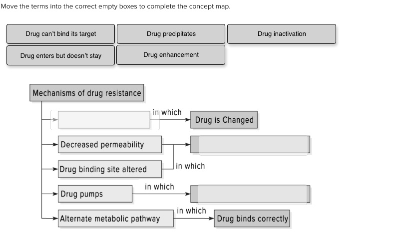 Move the terms into the correct empty boxes to complete the concept map.
Drug can't bind its target
Drug precipitates
Drug enters but doesn't stay
Drug enhancement
Mechanisms of drug resistance
in which
Drug is Changed
Drug inactivation
Decreased permeability
in which
Drug binding site altered
in which
Drug pumps
in which
Alternate metabolic pathway
Drug binds correctly