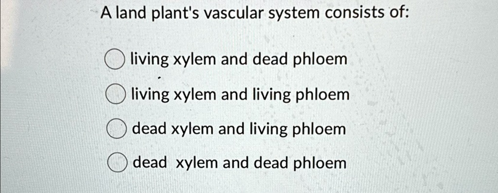 A land plant s vascular system consists of living xylem and dead