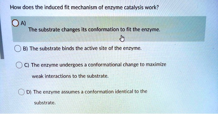 How does the induced fit mechanism of enzyme catalysis work? OA) The ...