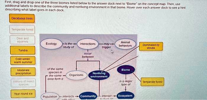 first drag and drop one of the three biomes listed below to the answer ...