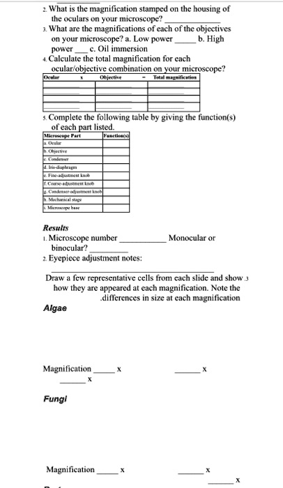 2. What is the magnification stamped on the housing of the oculars on your microscope? 
3. What are the magnifications of each of the objectives on your microscope? a. Low power  b. High power  c. Oil immersion 
4. Calculate the total magnification for each ocular/objective combination on your microscope?
| Ocular | x | Objective | = | Total magnification |
| :— | :—: | :— | :—: | :— |
| | | | | |
| | | | | |
| | | | | |
5. Complete the following table by giving the function(s) of each part listed.
| Microscope Part | Function(s) |
| :— | :— |
| a. Ocular | |
| b. Objective | |
| c. Condenser | |
| d. Iris-diaphragm | |
| e. Fine-adjustment knob | |
| f. Coarse-adjustment knob | |
| g. Condenser-adjustment knob | |
| h. Mechanical stage | |
| i. Microscope base | |

Results
1. Microscope number  Monocular or binocular? 
2. Eyepiece adjustment notes:

3. Draw a few representative cells from each slide and show how they are appeared at each magnification. Note the differences in size at each magnification.
Algae
Magnification  x  x  x
Fungi
Magnification  x  x  x