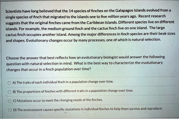 Scientists have long believed that the 14 species of finches on the Galapagos Islands evolved from a single species of finch that migrated to the islands one to five million years ago. Recent research suggests that the original finches came from the Caribbean Islands. Different species live on different islands. For example, the medium ground finch and the cactus finch live on one island. The large cactus finch occupies another island. Among the major differences in finch species are their beak sizes and shapes. Evolutionary changes occur by many processes, one of which is natural selection.

Choose the answer that best reflects how an evolutionary biologist would answer the following question with natural selection in mind. What is the best way to characterize the evolutionary changes that occur in a finch population over time?

A) The traits of each individual finch in a population change over time.
B) The proportions of finches with different traits in a population change over time.
C) Mutations occur to meet the changing needs of the finches.
D) The environment causes specific mutations in individual finches to help them survive and reproduce.