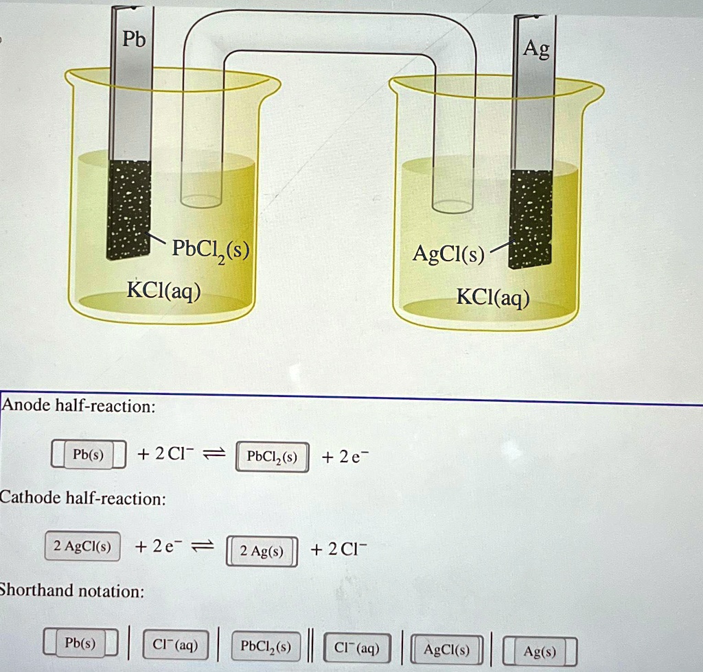 Pb Ag PbCl2(s) AgCl(s) KCl(aq) KCl(aq) Anode half-reaction: Pb(s) + 2Cl ...