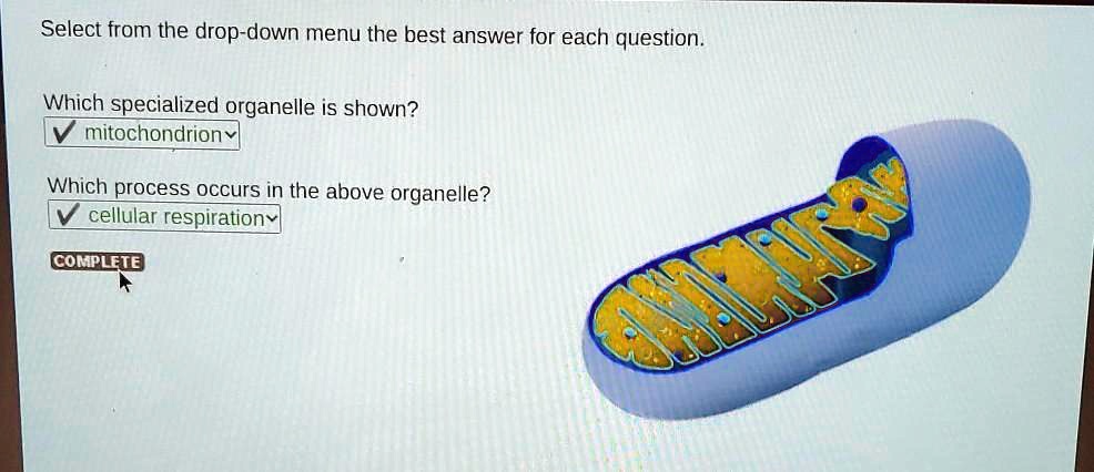 SOLVED Select From The Drop down Menu The Best Answer For Each solved-select-from-the-drop-down-menu-the-best-answer-for-each