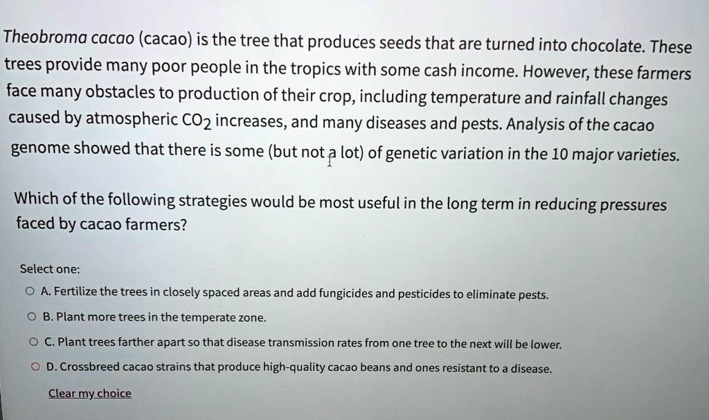 Theobroma cacao (cacao) is the tree that produces seeds that are turned into chocolate. These trees provide many poor people in the tropics with some cash income. However, these farmers face many obstacles to production of their crop, including temperature and rainfall changes caused by atmospheric CO2 increases, and many diseases and pests. Analysis of the cacao genome showed that there is some (but not a lot) of genetic variation in the 10 major varieties.

Which of the following strategies would be most useful in the long term in reducing pressures faced by cacao farmers?

Select one:
OA. Fertilize the trees in closely spaced areas and add fungicides and pesticides to eliminate pests.
OB. Plant more trees in the temperate zone.
OC. Plant trees farther apart so that disease transmission rates from one tree to the next will be lower.
OD. Crossbreed cacao strains that produce high-quality cacao beans and ones resistant to a disease.
Clear my choice