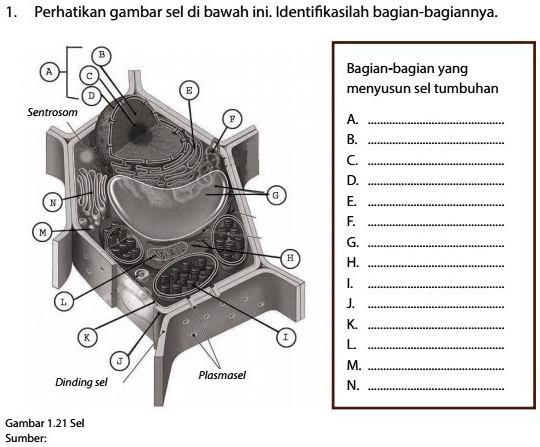 SOLVED: Perhatikan Gambar Di Bawah Ini,tolong Identifikasikan Bagian ...