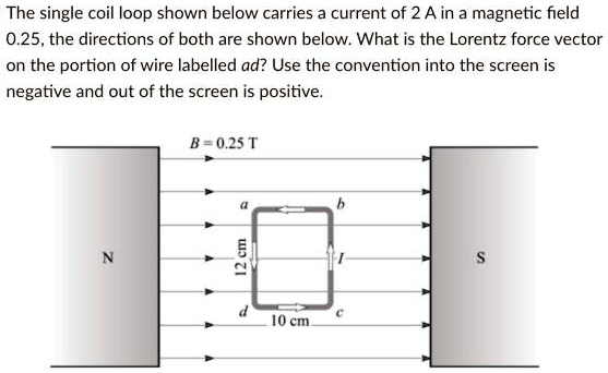 The single coil loop shown below carries a current of 2 A in a magnetic ...