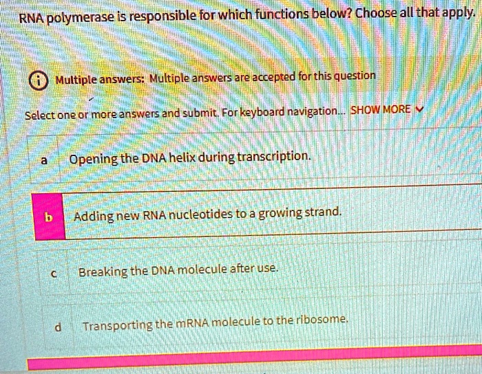 SOLVED RNA polymerase is responsible for which functions below? Choose