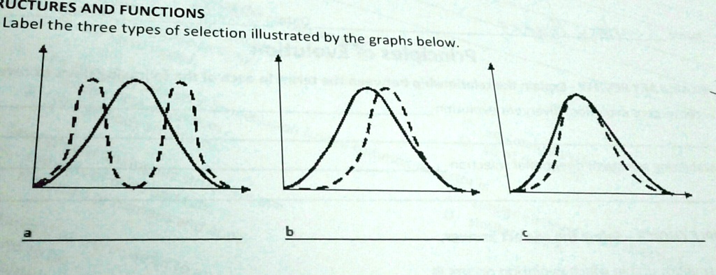 SOLVED: Label the three types of selection illustrated by the graphs ...