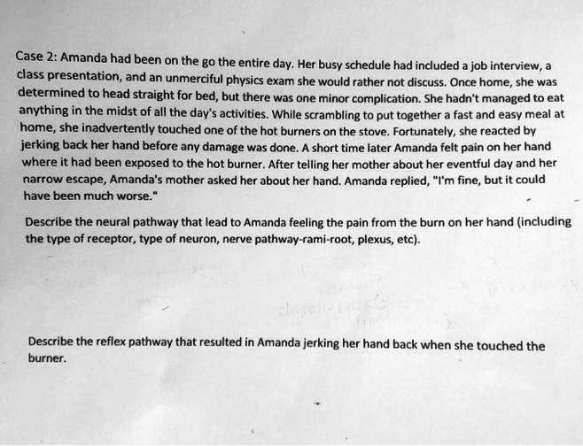 SOLVED Case 2 Amanda Had Been On The Go The Entire Day Her Busy Schedule Had Included A Job 