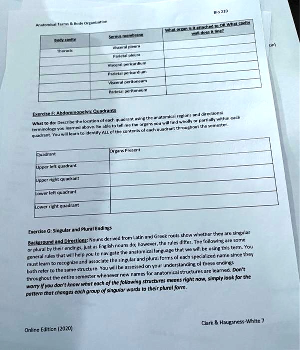 SOLVED: Texts: Bio210 Anatomical Terms Body Organization Serous