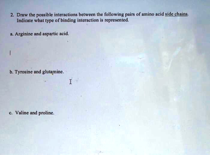 draw the possible interactions betwcen the following pairs of amino ...
