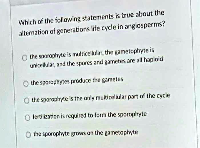 Which of the following statements is true about the alternation of generations life cycle in angiosperms?

the sporophyte is multicellular, the gametophyte is unicellular, and the spores and gametes are all haploid

the sporophytes produce the gametes

the sporophyte is the only multicellular part of the cycle

fertilization is required to form the sporophyte

the sporophyte grows on the gametophyte