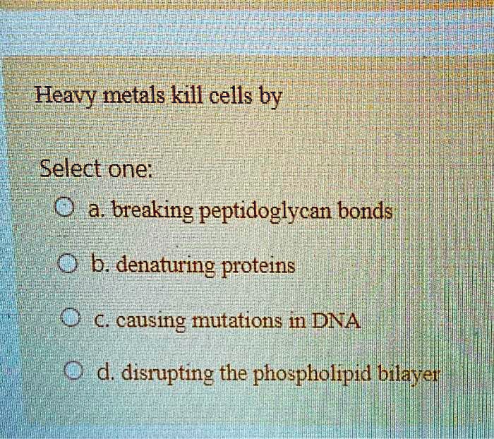 SOLVED Heavy metals kill cells by Select one a. breaking