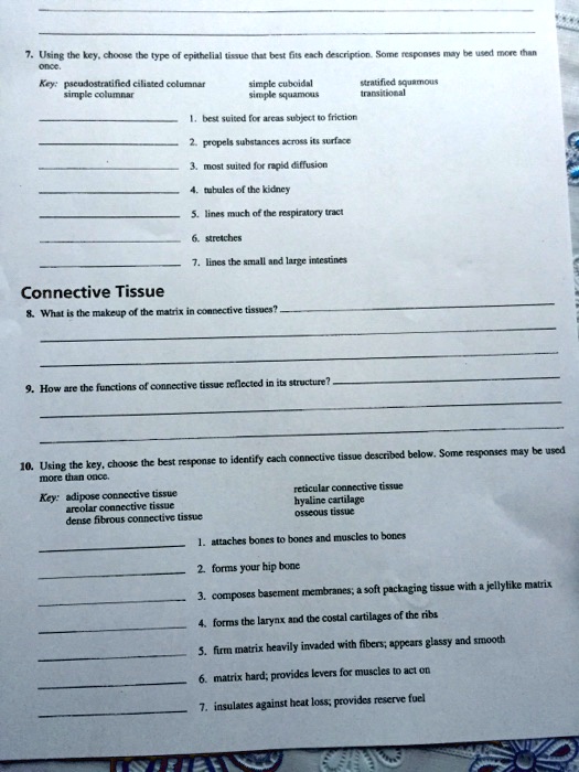 SOLVED Once Key pseudostratified ciliated columnar simple columnar