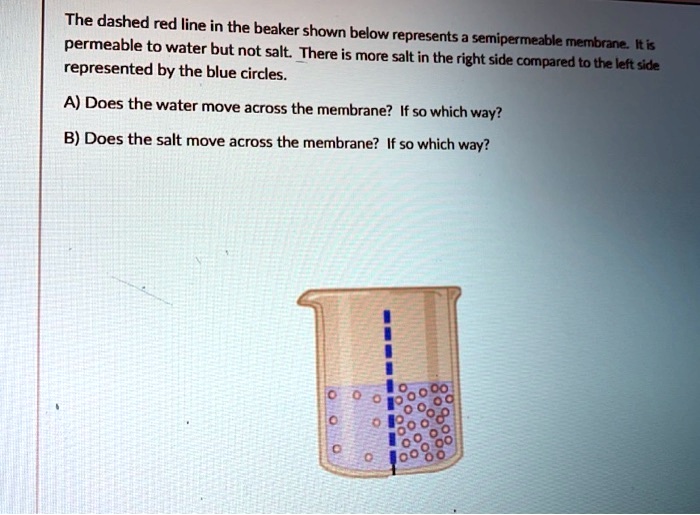 the dashed red line in the beaker shown below represents permeable to ...