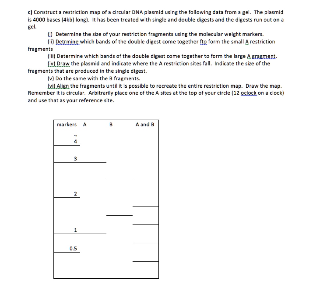 Solved C Construct A Restriction Map Of A Circular Dna Plasmid Using