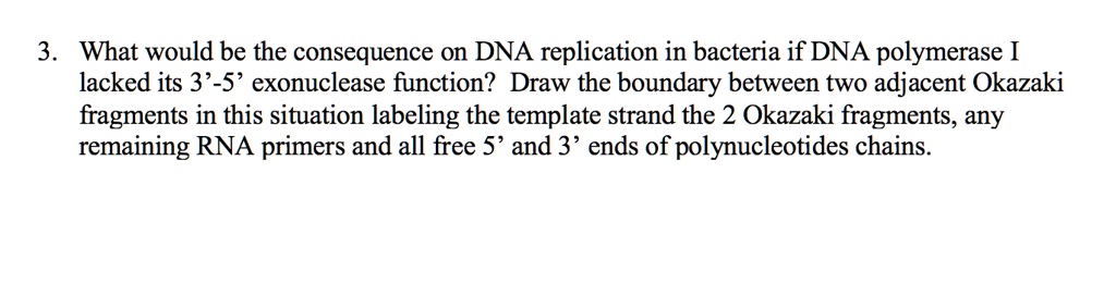 SOLVED: 3. What would be the consequence on DNA replication in bacteria ...