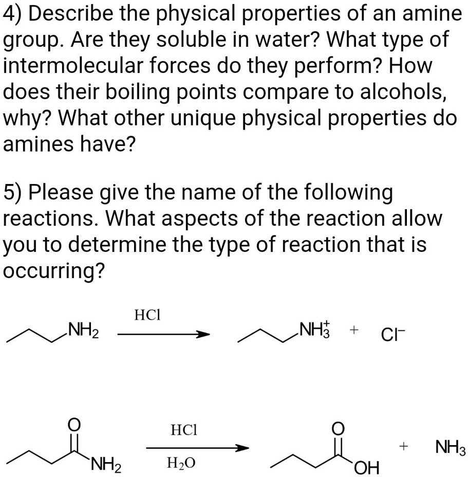 SOLVED 4) Describe the physical properties of an amine group. Are they