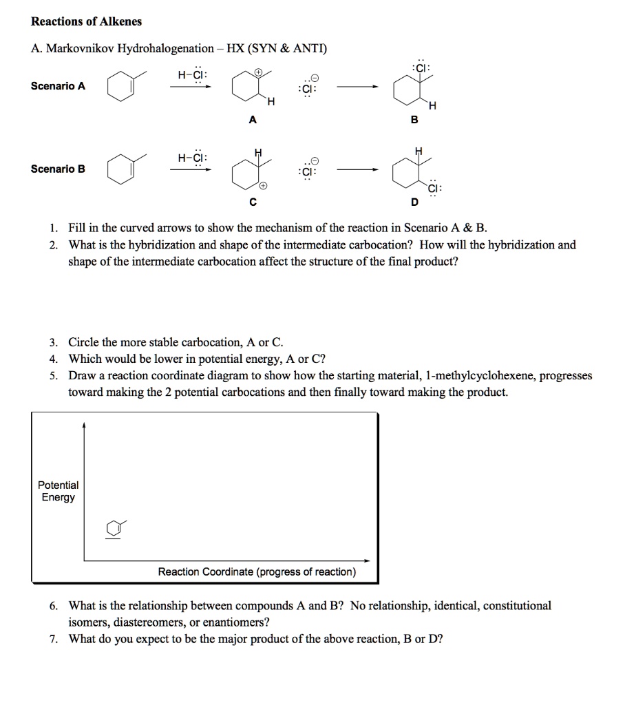 SOLVED: Reactions of Alkenes Markovnikov Hydrohalogenation HX (SYN ANTI ...