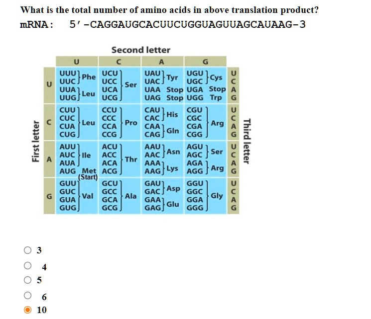 SOLVED What is the total number of amino acids in the above