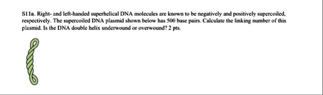 11a right and left handed superhelical dna molecules are known to be negatively and positively supercoiled respectively the supercoiled dna plasmid shown below has 500 base pairs calculate t 74922