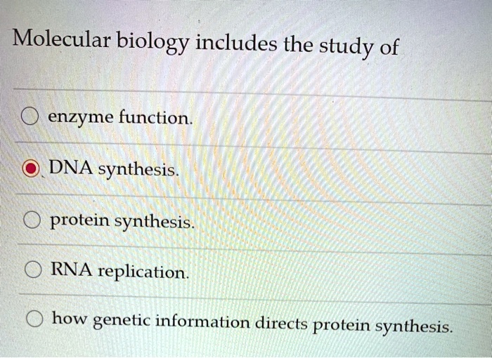 SOLVED Molecular biology includes the study of enzyme function. DNA