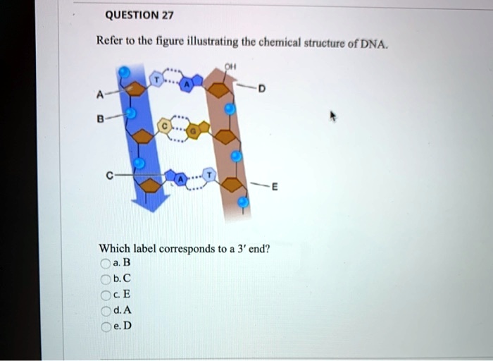 QUESTION 27 Refer T0 The Figure Illustrating The Chemical Structure Of ...