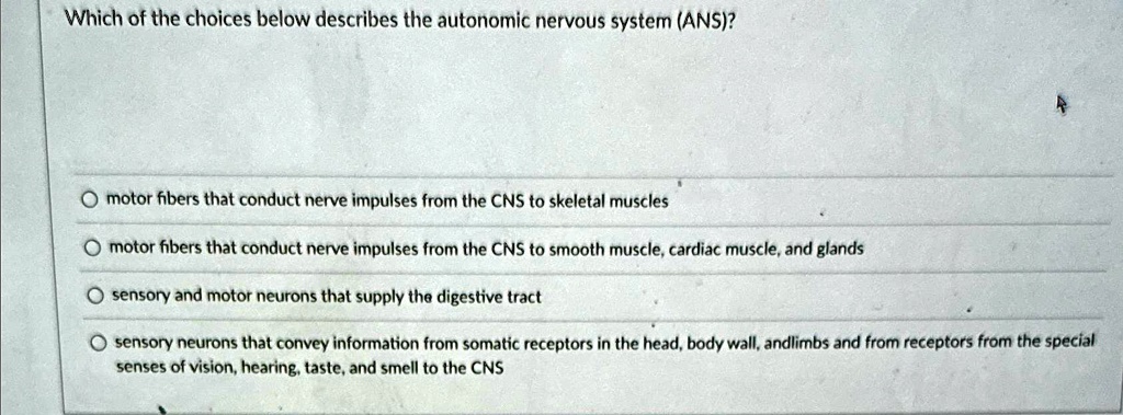 Which Of The Choices Below Describes The Ans