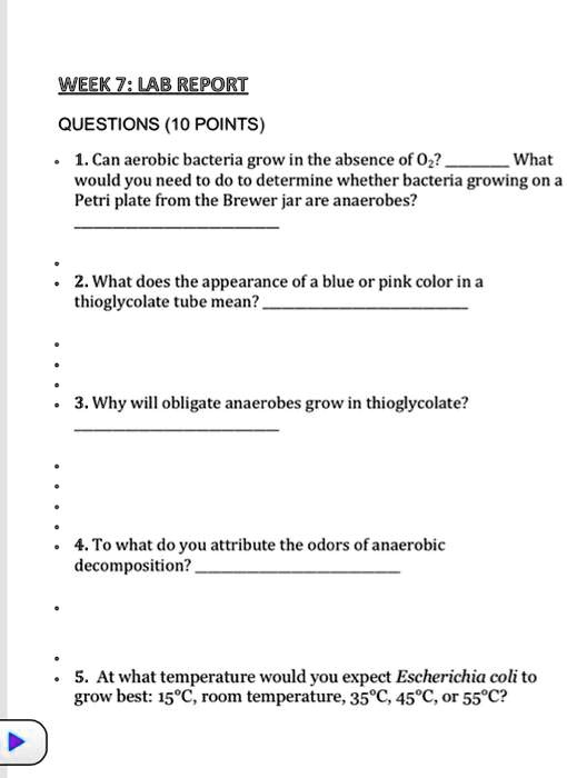 SOLVED Week Z LAB REPORT QUESTIONS (10 POINTS) 1. Can aerobic